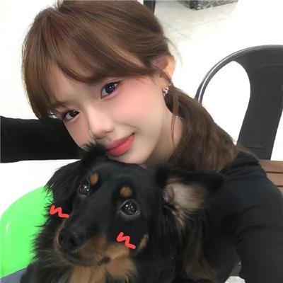 猎赝